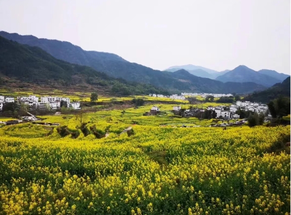 鄉(xiāng)村旅游、文化綜合體，開(kāi)發(fā)模式與運(yùn)營(yíng)方向